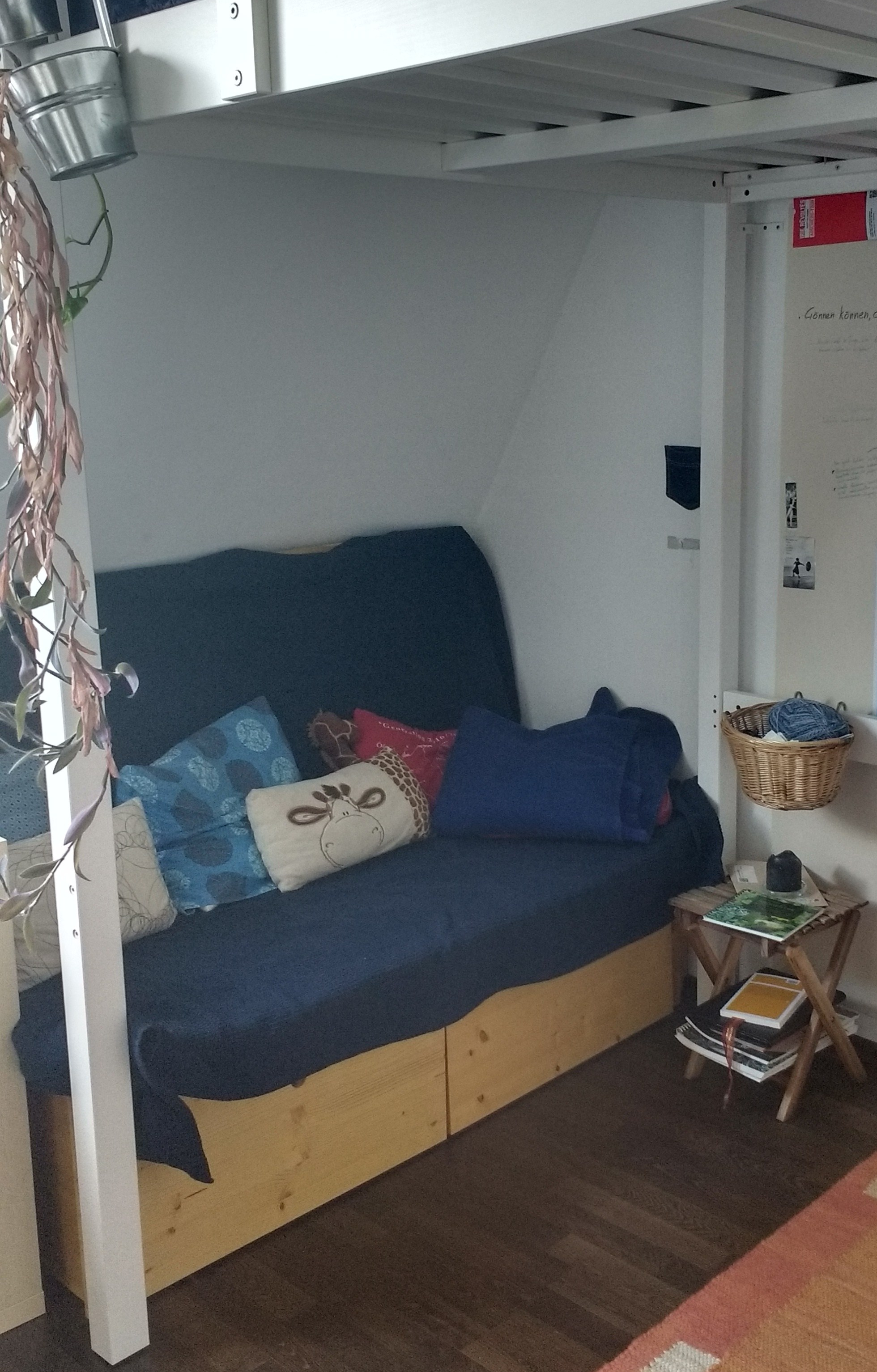 IMG_20170605_150600758_HDR