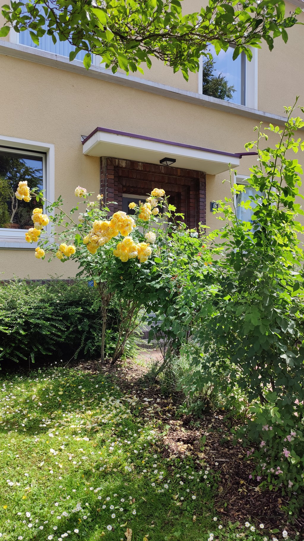 Ein Jahr alleine&nbsp;Wohnen