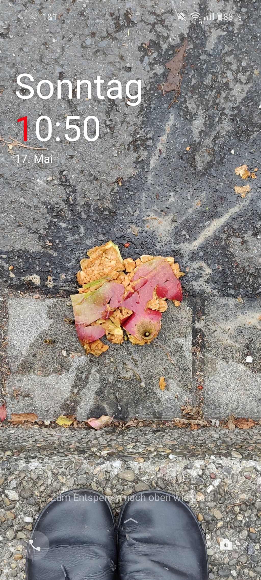 Teilnahmebescheinigung